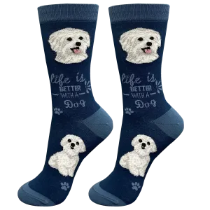 Cool Socks Maltese